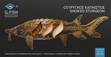 GFISH GERONTIDIS Photo 3