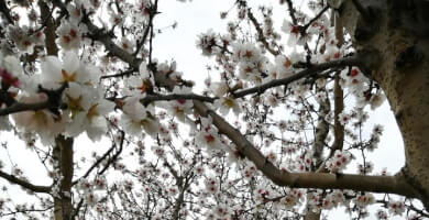 MELITOS FARM Photo 4