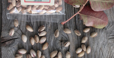 ΦΥΣΤΙΚΙ ΑΙΓΙΝΑΣ Π.Ο.Π. ΨΗΜΕΝΟ ΧΩΡΙΣ ΑΛΑΤΙ