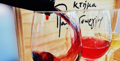 ΚΤΗΜΑ ΠΑΠΑΓΕΩΡΓΙΟΥ Φωτογραφία 2 ΚΤΗΜΑ ΠΑΠΑΓΕΩΡΓΙΟΥ Φωτογραφία 2