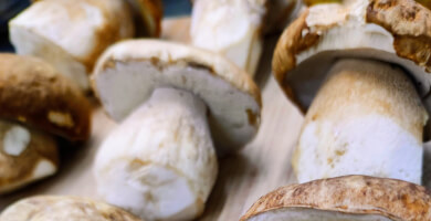 Βασιλομανόταρα Porcini