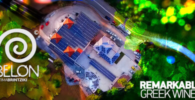 KTIMA BRINTZIKI S.A Photo 2