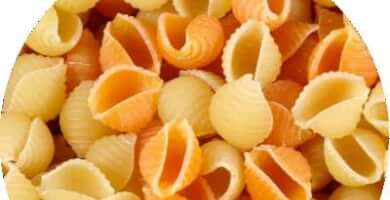 Conchiglie