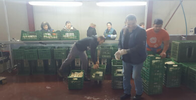 `ORGANOSI PARAGOGON A.S. MEGAPLATANOU Photo 1