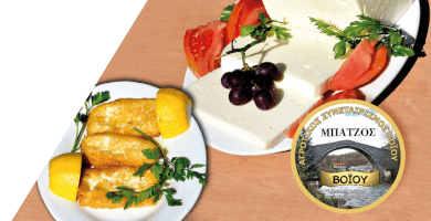 OMADA PARAGOGON STON TOMEA TOY AIG. GALAKTOS & TON GALAKT. PROIONTON TOY A.K.SYN VOIOY Photo 2