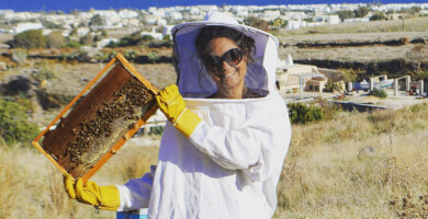 SANTO ΜΕΛΙ Φωτογραφία 3