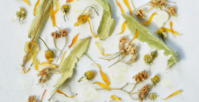 Sunny Moments (new product) Photo 