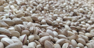 NUCHIO| Pistachio Nuts Photo 4