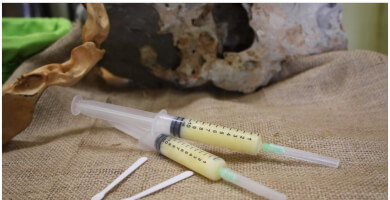 Βασιλικός πολτός 10gr