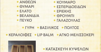 ΜΕΛΙΣΣΟΚΟΜΙΑ ΜΑΓΚΛΑΡΑ ΙΚΕ Φωτογραφία 4