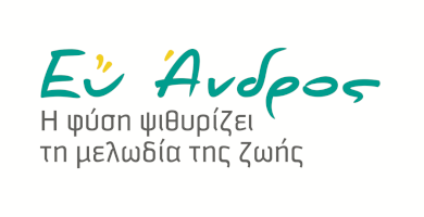 Συμπυκνωμένη Λεμονάδα Ανδρου με τζίντζερ 