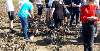 ORGANOSI PARAGOGON VAMVAKOS TOY A.S ORXOMENOY Photo 2