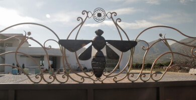 ΑΞΙΟΝ ΕΣΤΙ - ΒΙΟΛΟΓΙΚΗ ΜΕΛΙΣΣΟΚΟΜΙΑ Φωτογραφία 2