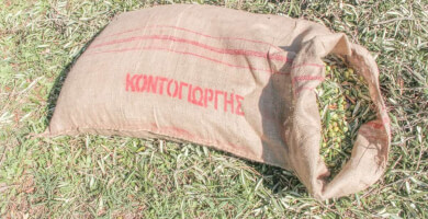 Εξαιρετικό Παρθένο Ελαιόλαδο "Κλειώ", Κουτσουρελιάς - Πατρινής, 250ml Φωτογραφία 