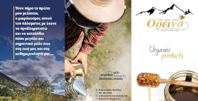 ΟΡΕΙΝΟ PURE GREEK HONEY Φωτογραφία 3