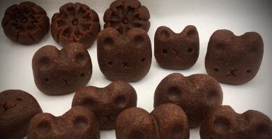 Cacao marzi Φωτογραφία 