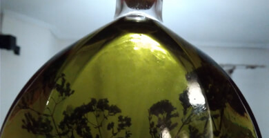 LIVAS Oregano in olive oil with herbs 750ml