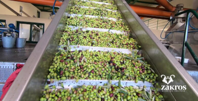 ΑΓΡΟΤΙΚΟΣ ΕΛΑΙΟΚΟΜΙΚΟΣ  ΣΥΝΕΤΑΙΡΙΣΜΟΣ ΖΑΚΡΟΥ Φωτογραφία 4