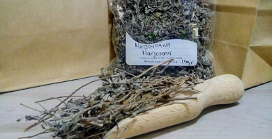 Marjoram