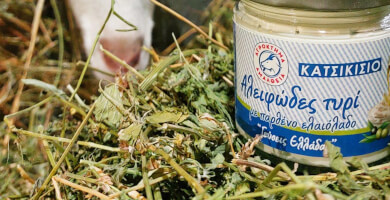 ΑΓΡΟΚΤΗΜΑ ΑΜΑΛΘΕΙΑ Φωτογραφία 1