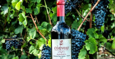 Evinor - Organic Farming Vineyard and Winery of Karakostas