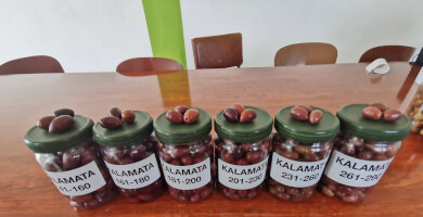 AGRICULTURAL OLIVE COOPERATIVE OF LIVANATES Photo 3