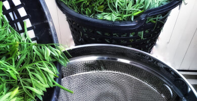 Promithion Φωτογραφία 2