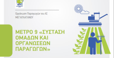 ΟΜΑΔΑ ΠΑΡΑΓΩΓΩΝ ΔΗΜΗΤΡΙΑΚΩΝ ΘΕΣγη Φωτογραφία 5