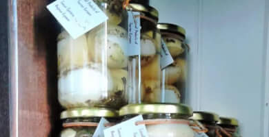 Pickled eggs